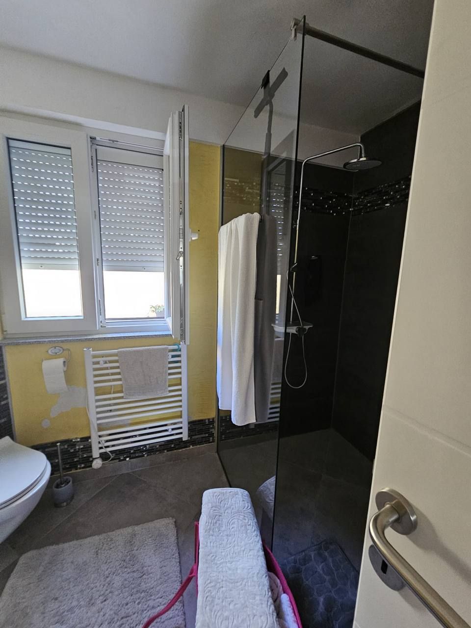 Bright bathroom with glass shower and heated towel rail