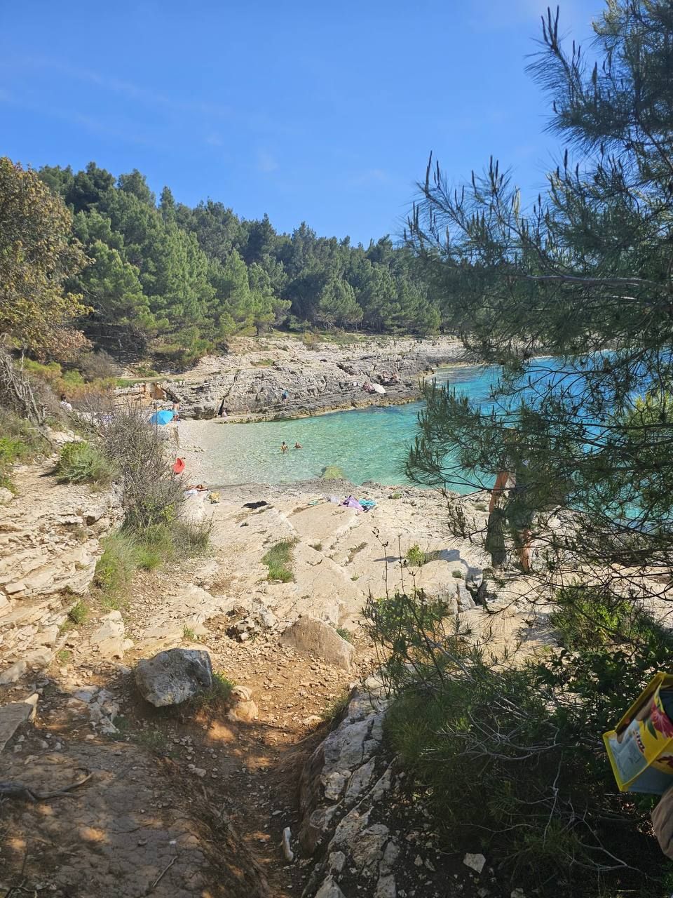 Small swimming cove with pebble beach and pine trees