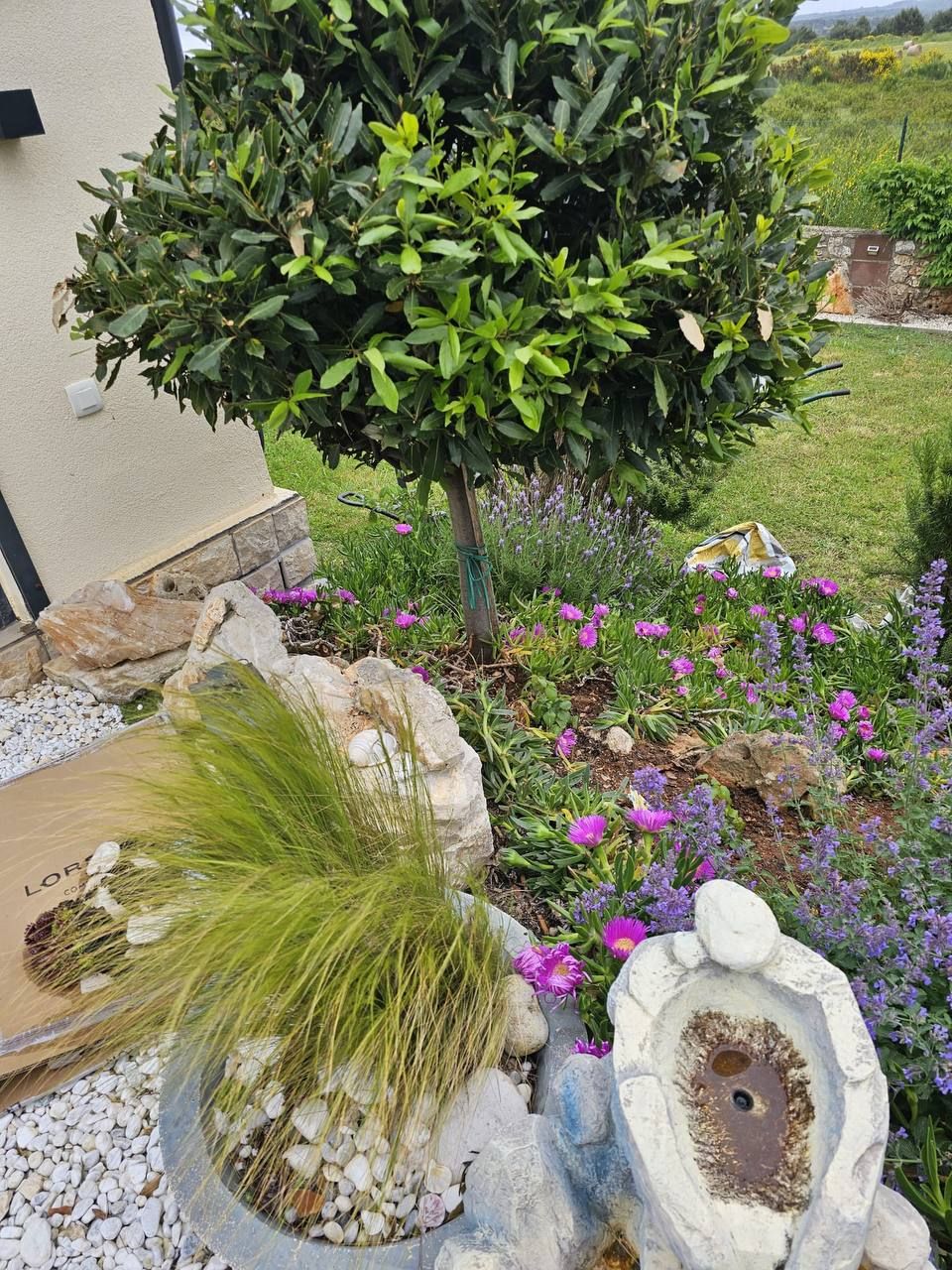 Flowering beds and small fountain in the garden