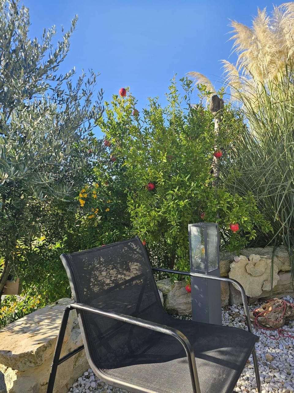 Garden chair among flowering shrubs