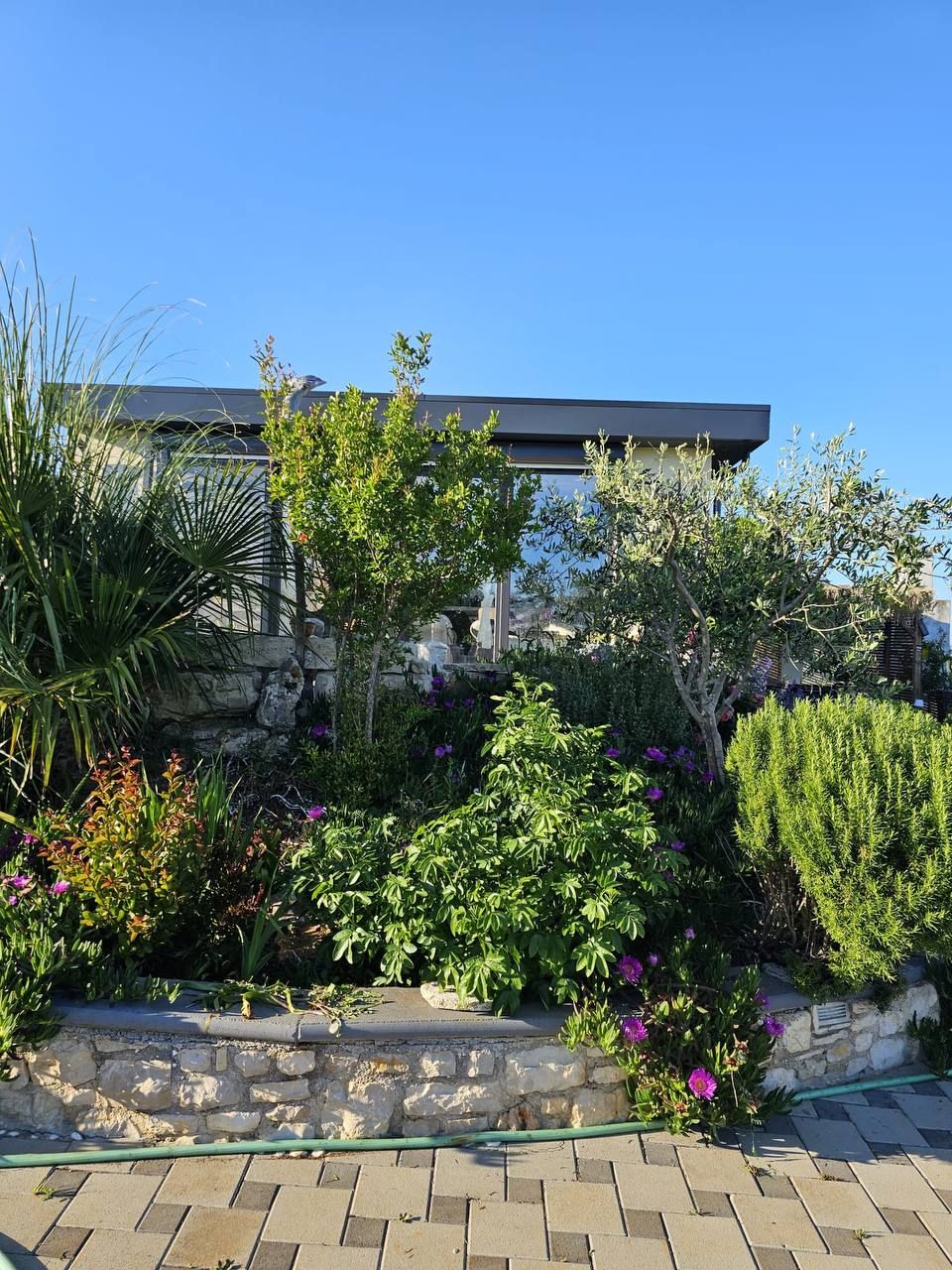 House, garden and terrace