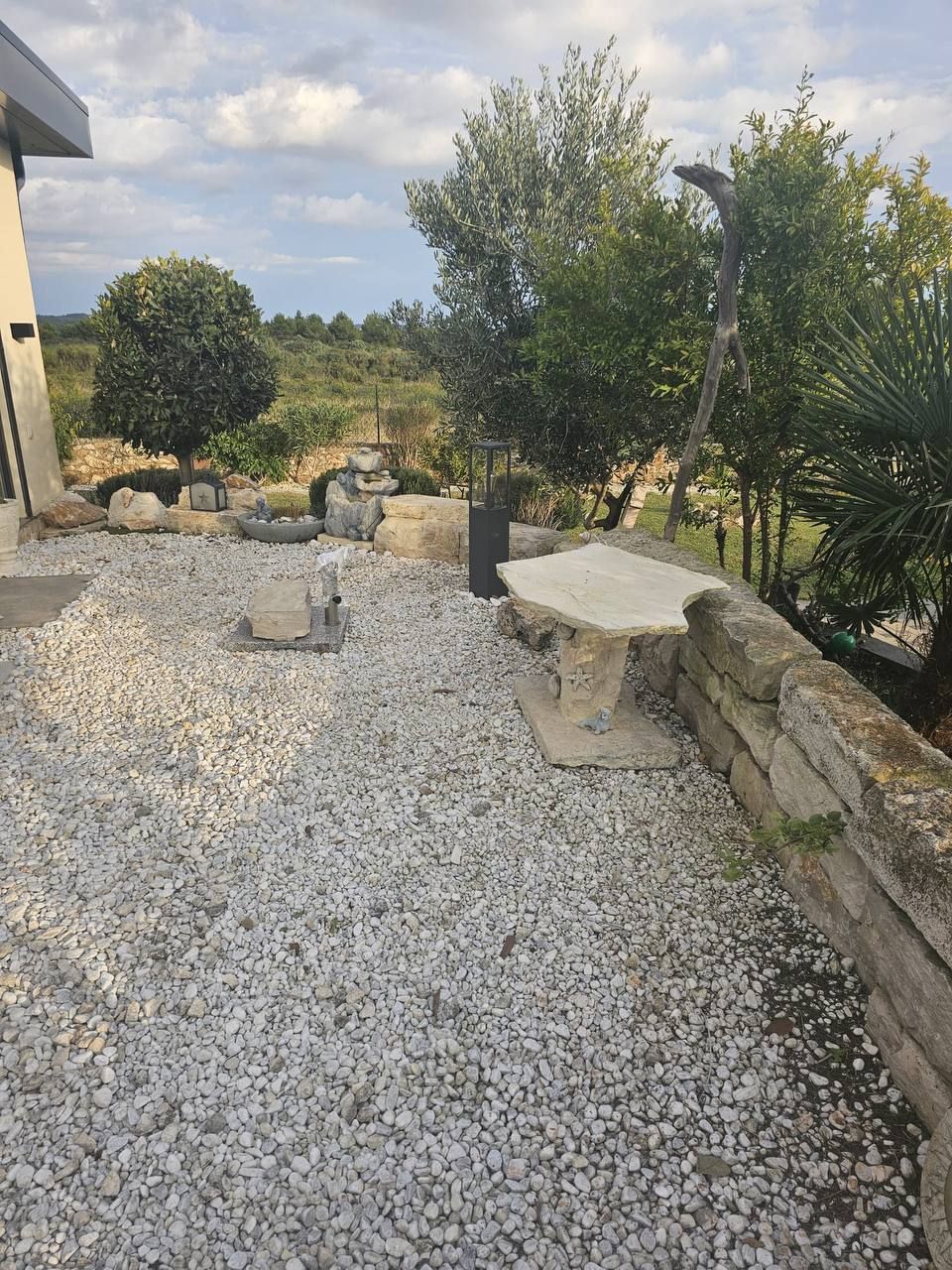 Gravel garden with stone bench and olive trees